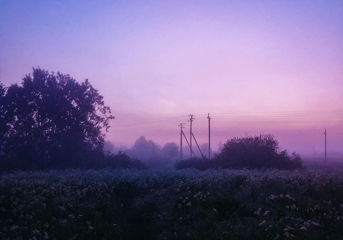 半岛体育：点燃激情，激活你的运动生活